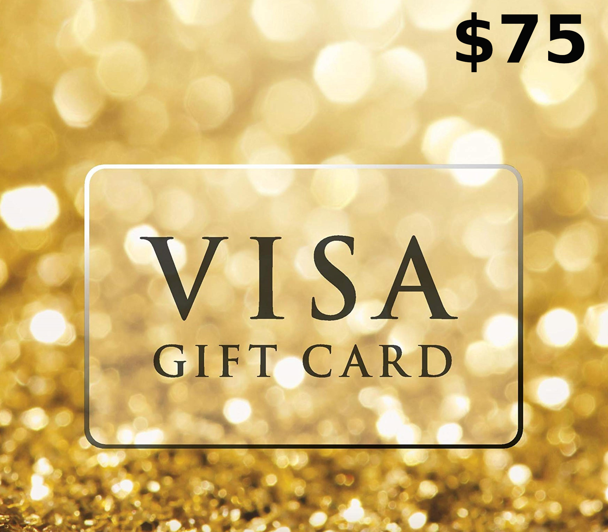 $75 Visa Gift Card