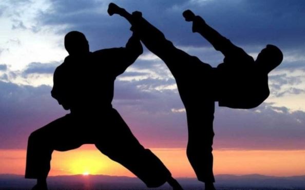Silhouette of martial arts students training at sunset. The background is slightly blurred to focus on the action.