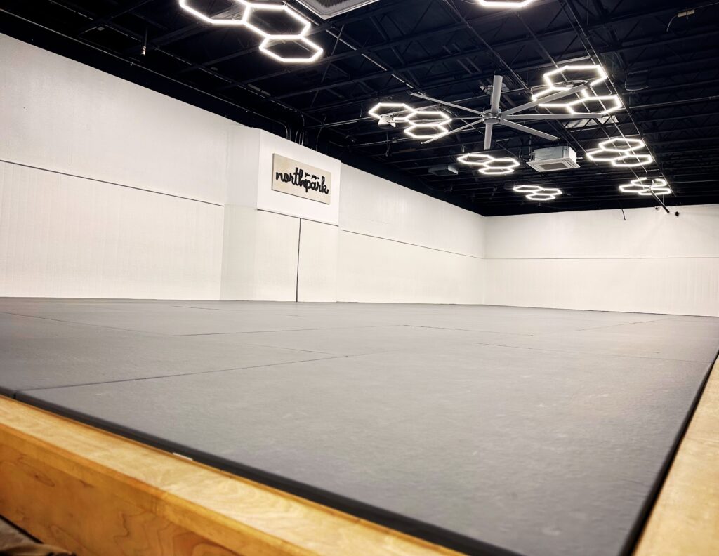 Jiu Jitsu Mat Space