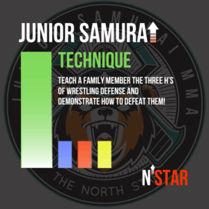 kids bjj