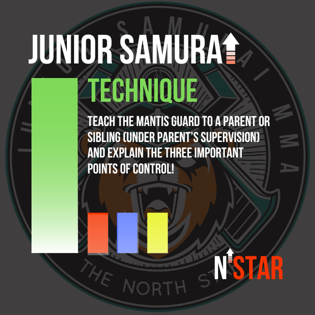 kids bjj training