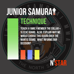 kids bjj