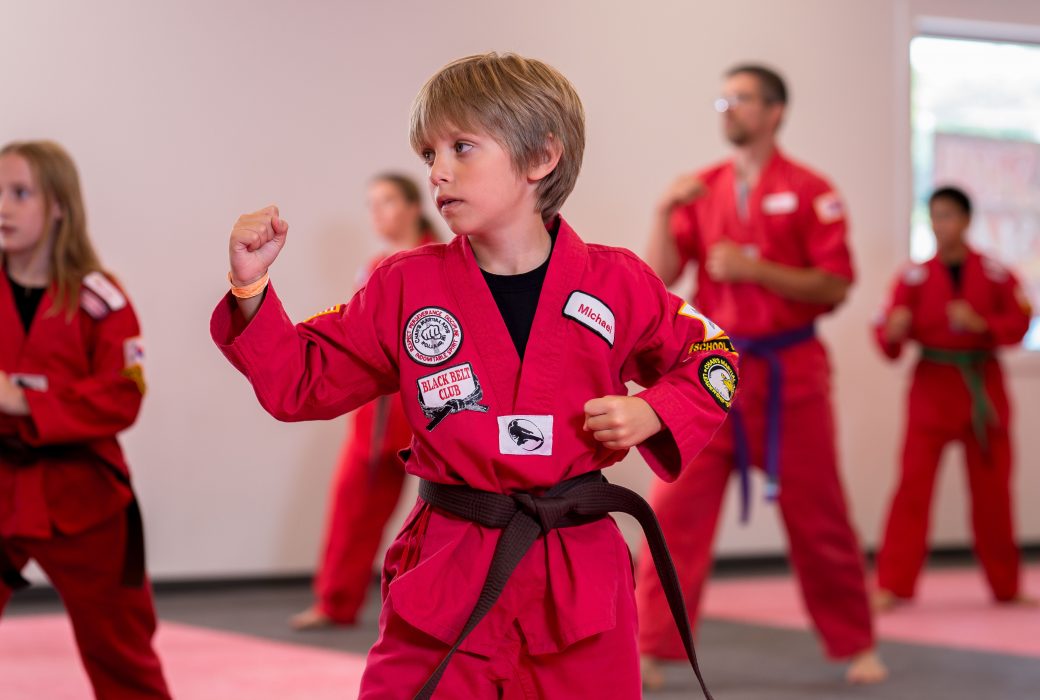 Holland Kids Martial Arts Championship Martial Arts