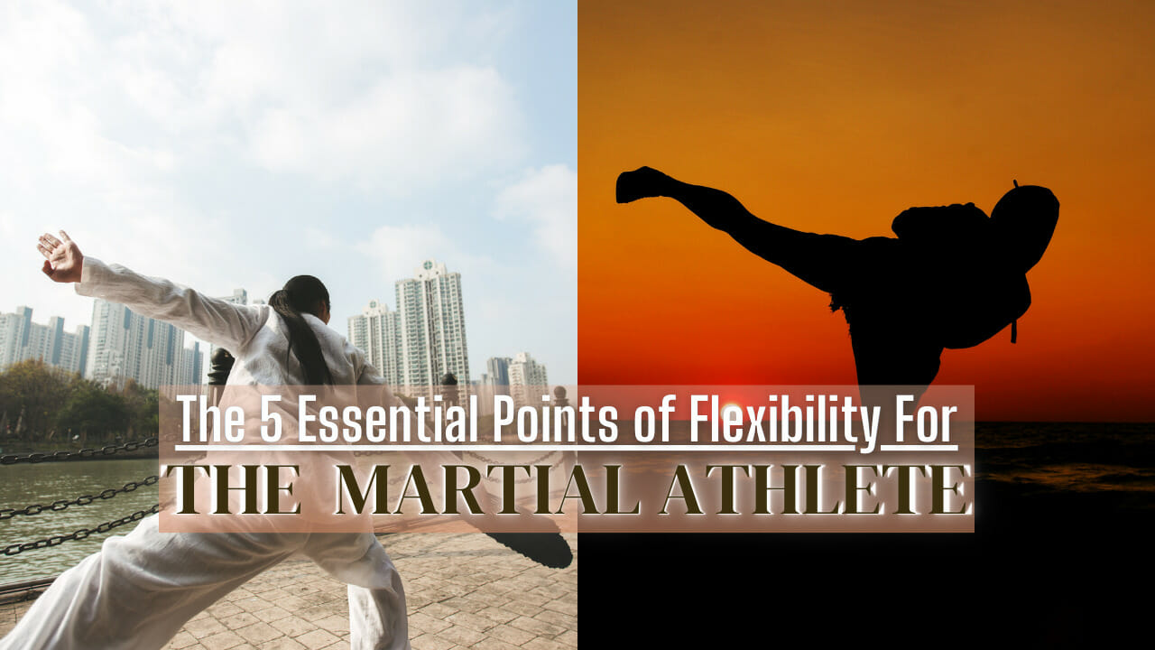 The 5 Essential Points of Flexibility for The Martial Athlete Life Skill Martial Arts