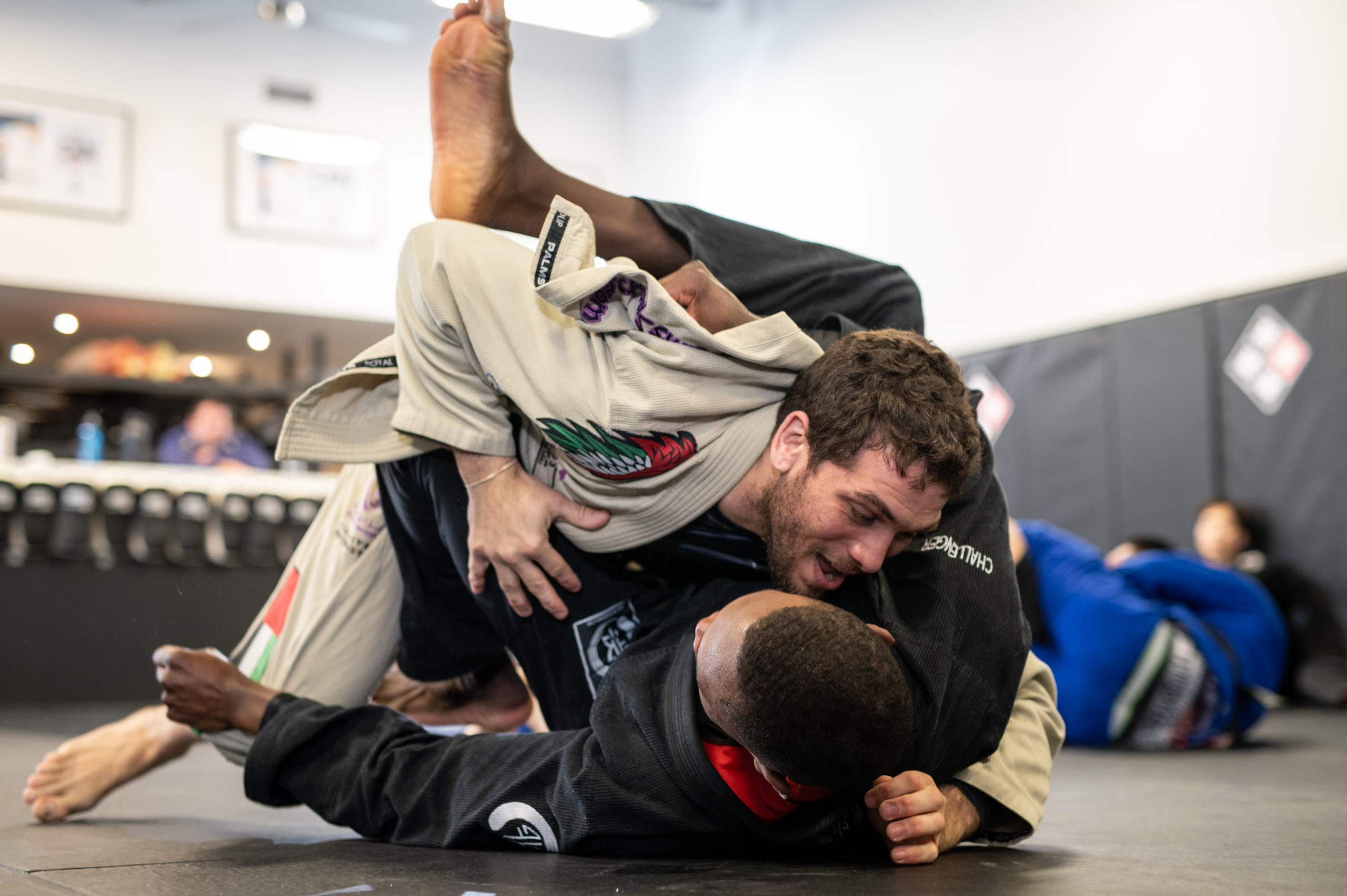 2 adults practising grappling at yorkdale martial arts Brazilian Jiu Jitsu program.