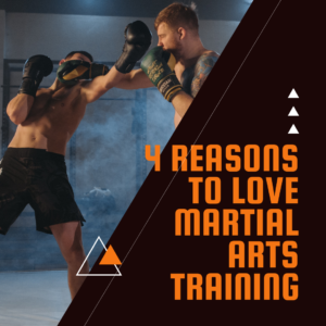 mebane martial arts