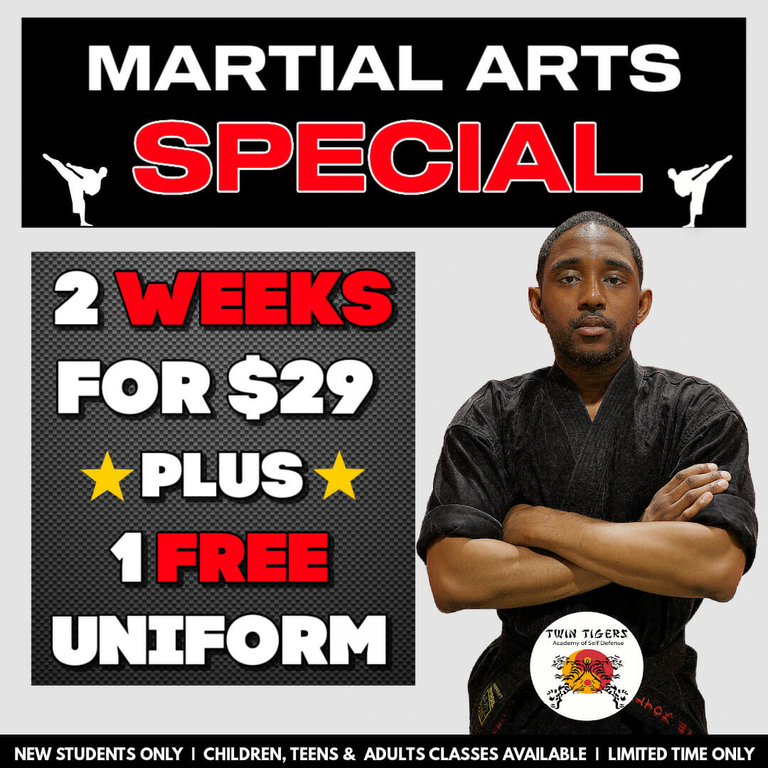 Brentwood After School Twin Tigers Academy of Self Defense