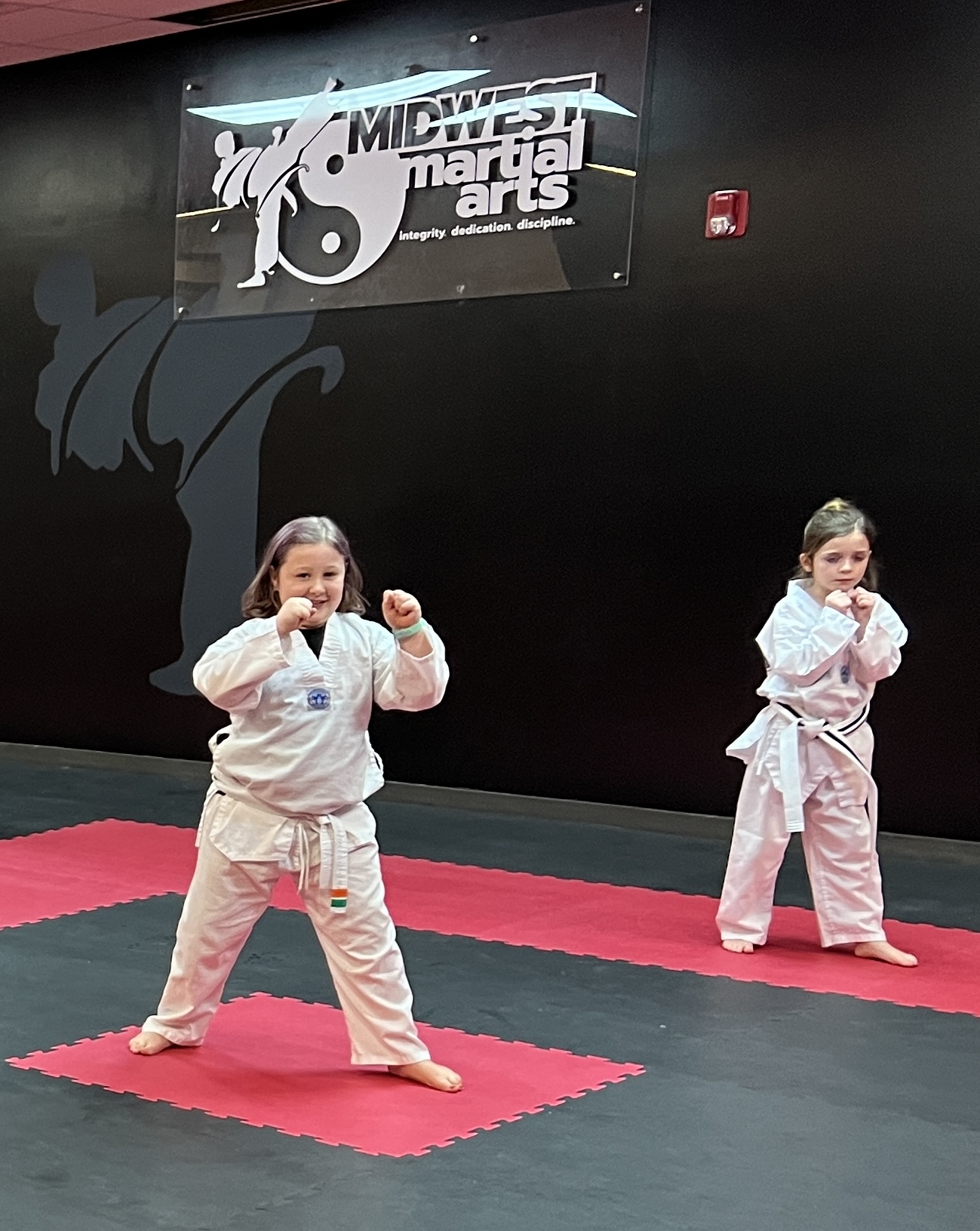 Harnessing Emotional Control and Anger Management through Martial Arts