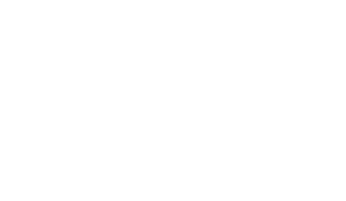 Elevate Martial Arts 